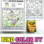 bird color by number worksheets
