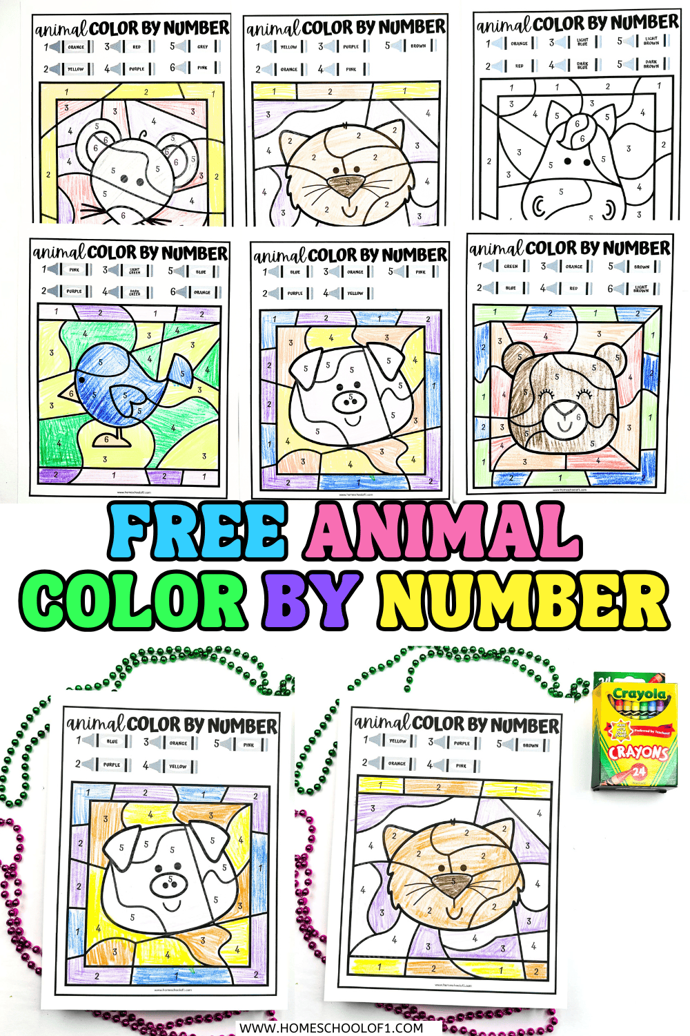 Free animal color by number worksheets for kids featuring a rabbit, cat, pig, bear, dog, and more with colorful completed examples.

