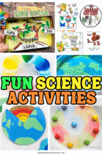 Science Activity Name Free Science Activities for Elementary Students