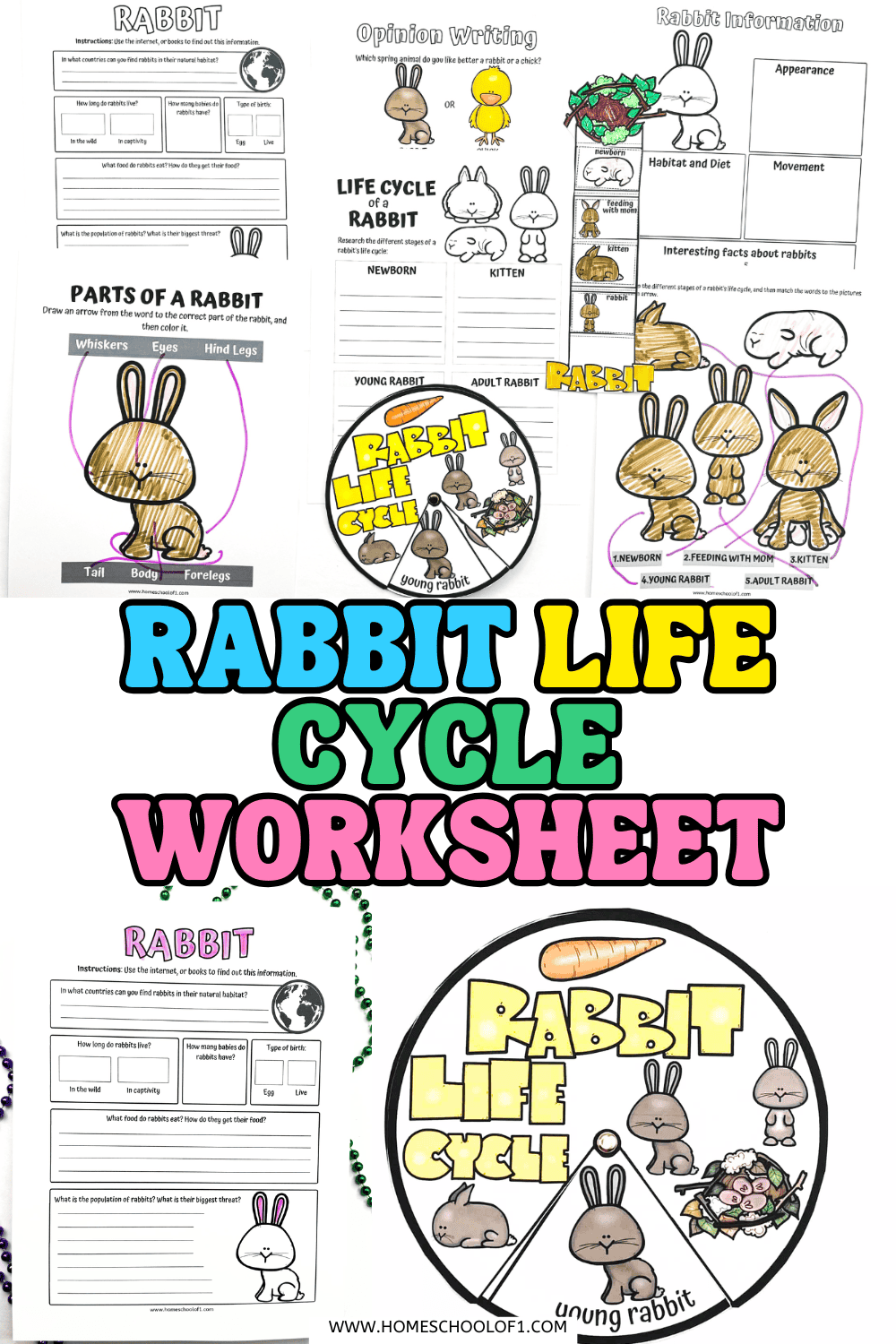 Rabbit life cycle worksheet printable for kids featuring labeling, coloring, parts of a rabbit, and cut-and-paste life cycle spinner activities for elementary science.
