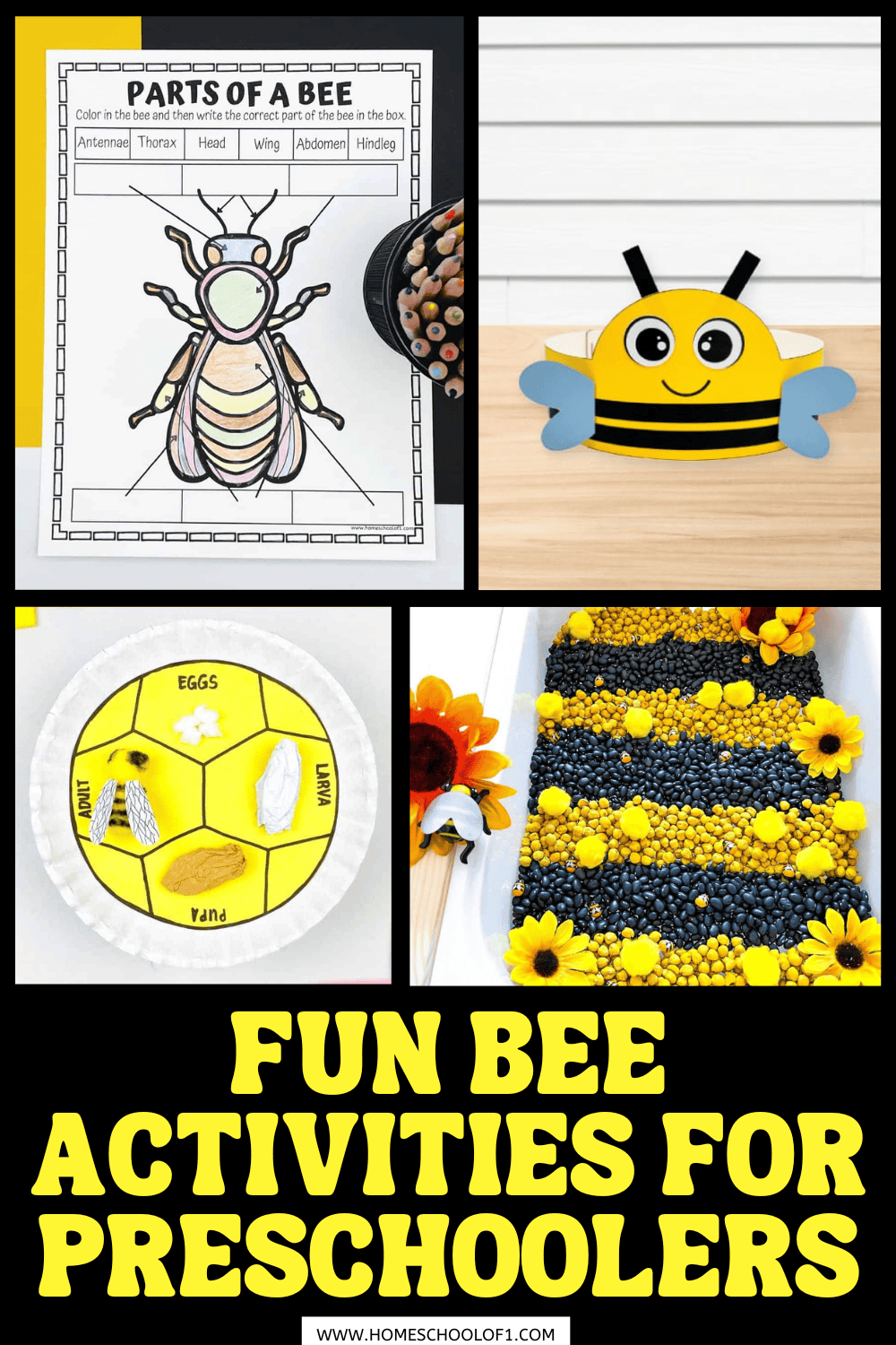 Printable bee activities for preschoolers featuring life cycle, anatomy worksheet, sensory bin, and bee crown craft.