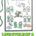 Life cycle of a leprechaun coloring page showing a pretend life cycle from baby to adult, with arrows and a leprechaun house in the center