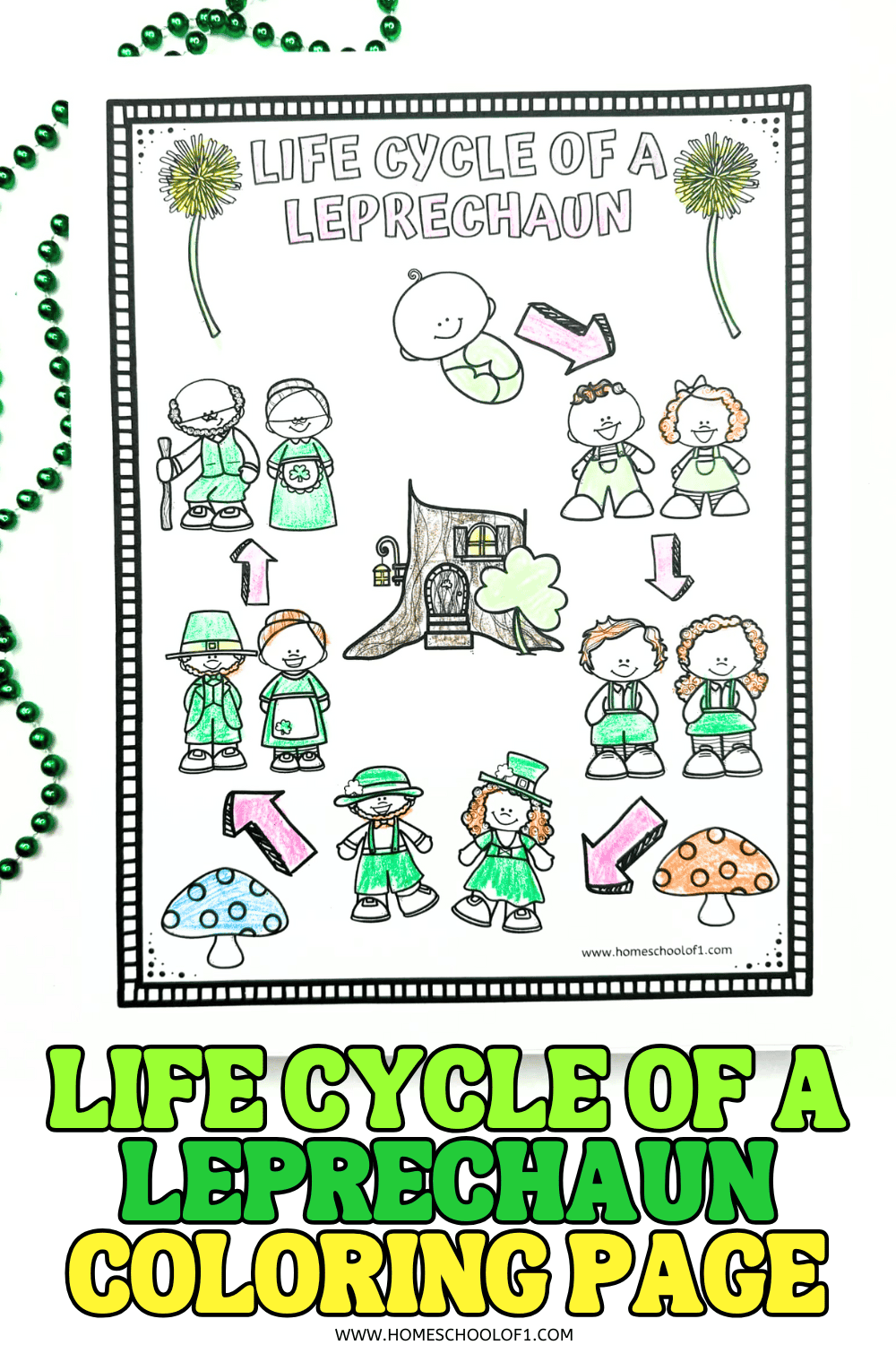 Life cycle of a leprechaun coloring page showing a pretend life cycle from baby to adult, with arrows and a leprechaun house in the center