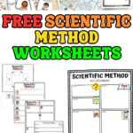 A collage of various printable scientific method worksheets for kids, featuring colorful designs and cartoon icons. The image includes a paper fortune teller game, worksheet templates with sections like hypothesis, experiment, and conclusion, and large bold text that reads “FREE SCIENTIFIC METHOD WORKSHEETS” in red, orange, yellow, and green. The website name “www.homeschoolof1.com” appears at the bottom.