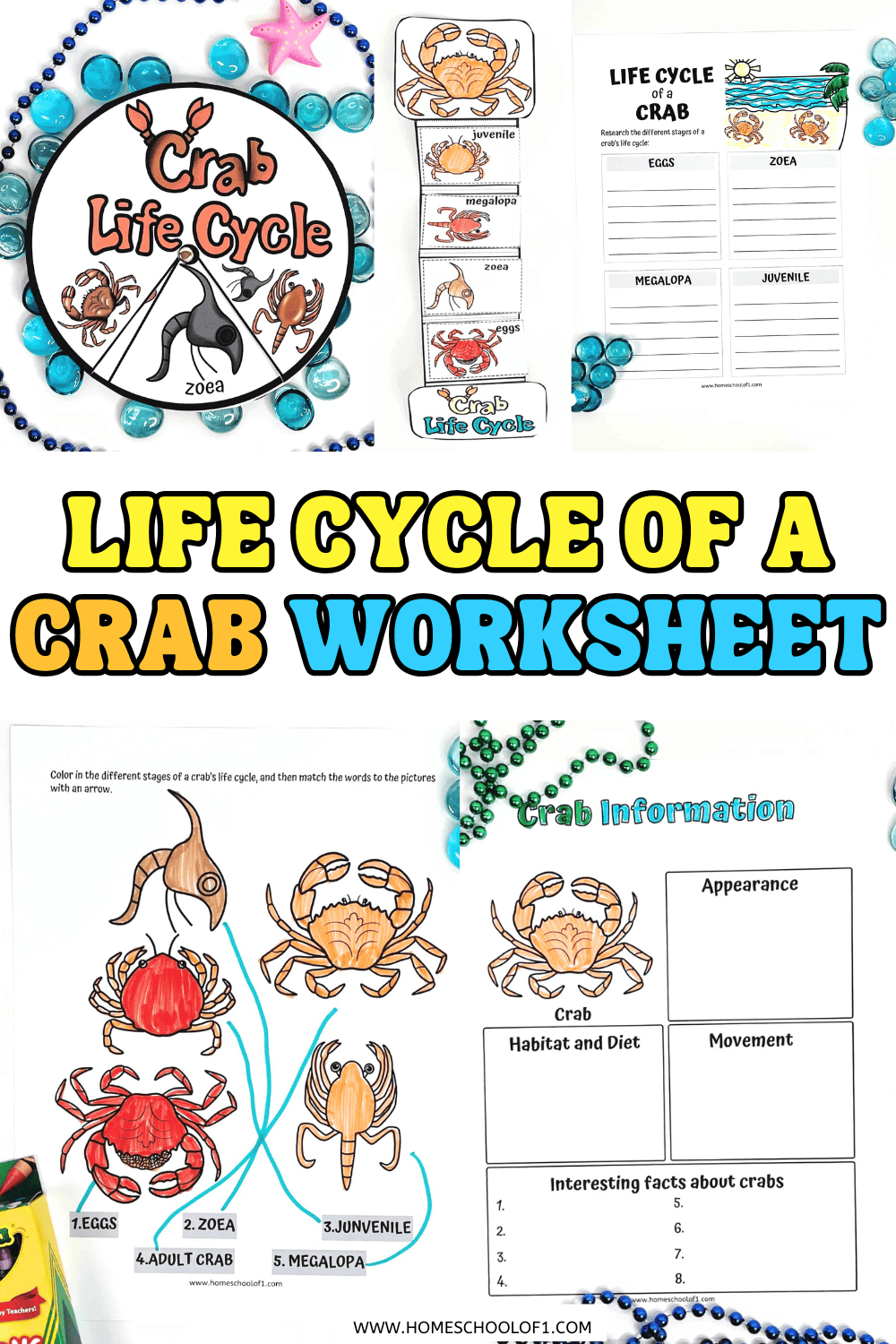 A colorful educational worksheet set for kids showing the life cycle of a crab, including labeled stages: eggs, zoea, megalopa, juvenile, and adult, with matching images and a crab life cycle spinner.