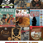 non fiction pirate books