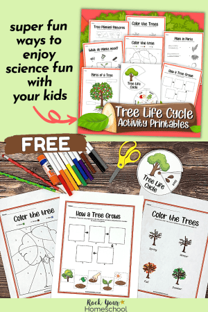 7 Free Arbor Day Worksheets For Kids