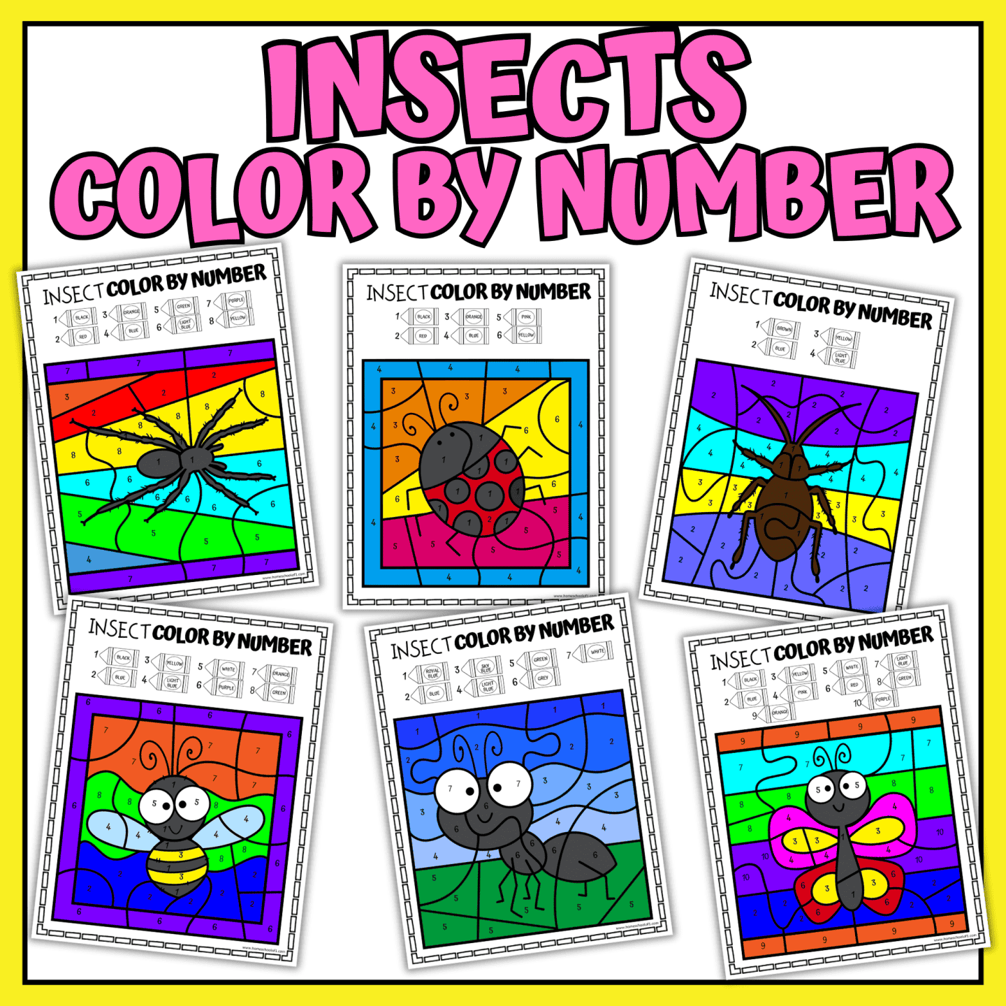 INSECTS-COLOR-BY-NUMBER