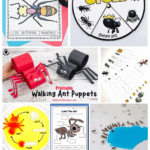 Visual collage with various printable and hands-on ant activities for preschoolers, such as a “Parts of an Ant” coloring sheet, ant life cycle wheel, and craft paper ant puppets. Additional worksheets focus on fine motor tracing, labeling ant body parts, and observing ants drinking from colored liquid. Bold, playful text says "ANT ACTIVITIES FOR PRESCHOOLERS" at the bottom.