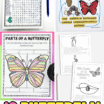 Printable butterfly activities for kids, featuring a life cycle word search, parts of a butterfly coloring page, and mini booklet.