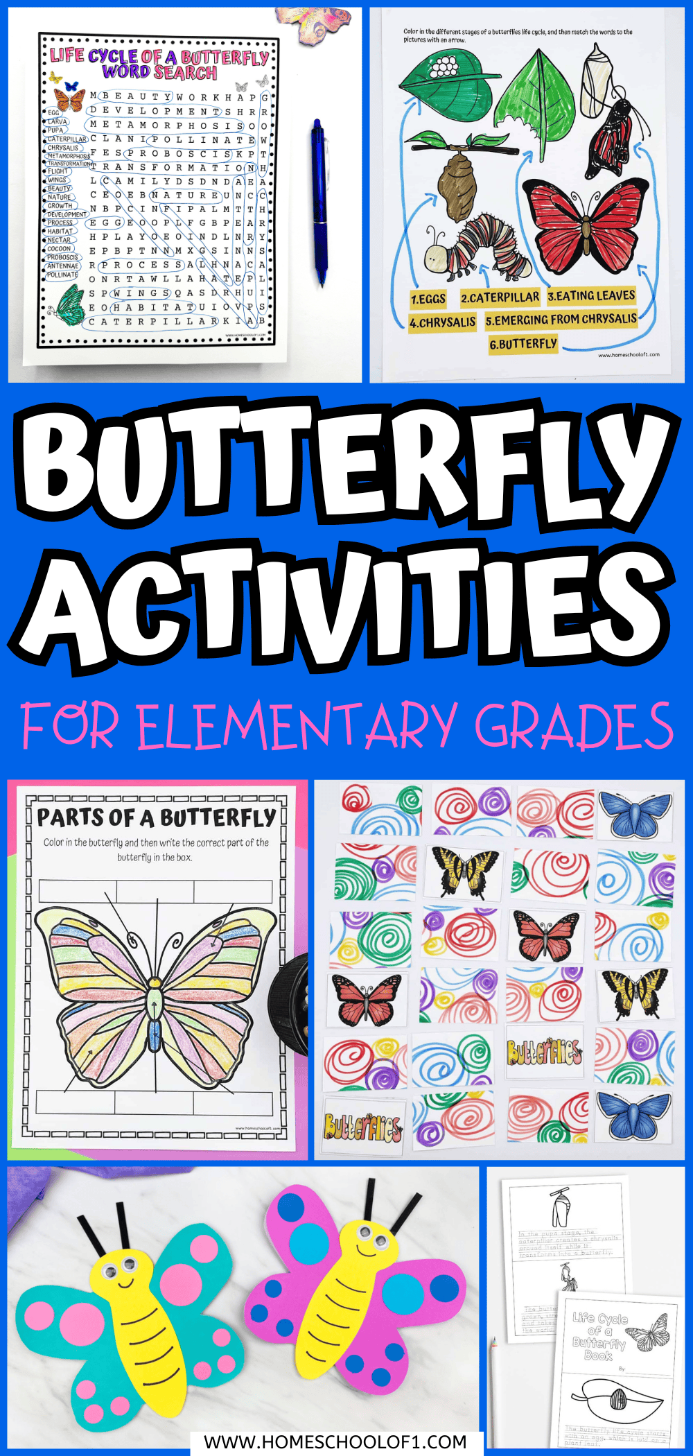 19 Butterfly Activities for Elementary Students