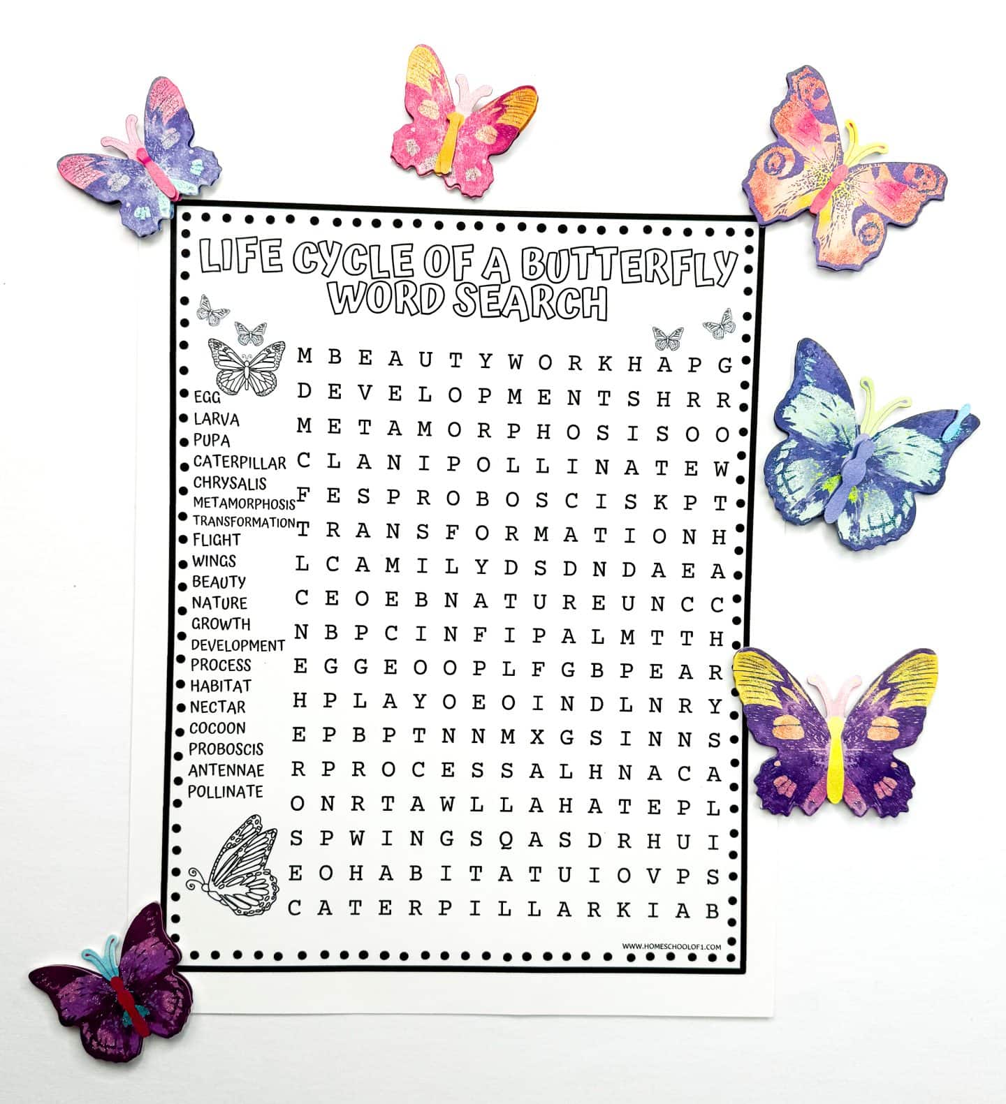 Interactive 'Life Cycle of a Butterfly Word Search' worksheet adorned with paper butterflies on the corners, featuring a word grid and terms associated with the butterfly life cycle.