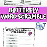 Two printable butterfly word scramble worksheets showing scrambled butterfly life cycle words with and without the answer key.