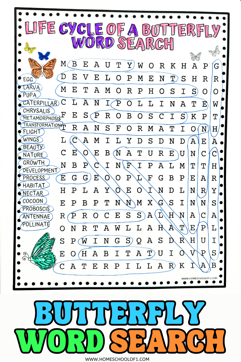 A vibrant word search puzzle titled "Life Cycle of a Butterfly Word Search" with butterfly illustrations and words circled in blue ink. The word list on the left includes terms like egg, larva, pupa, caterpillar, chrysalis, metamorphosis, transformation, flight, wings, beauty, nature, growth, development, process, habitat, nectar, cocoon, proboscis, antennae, and pollinate. "BUTTERFLY WORD SEARCH" is boldly displayed at the bottom.