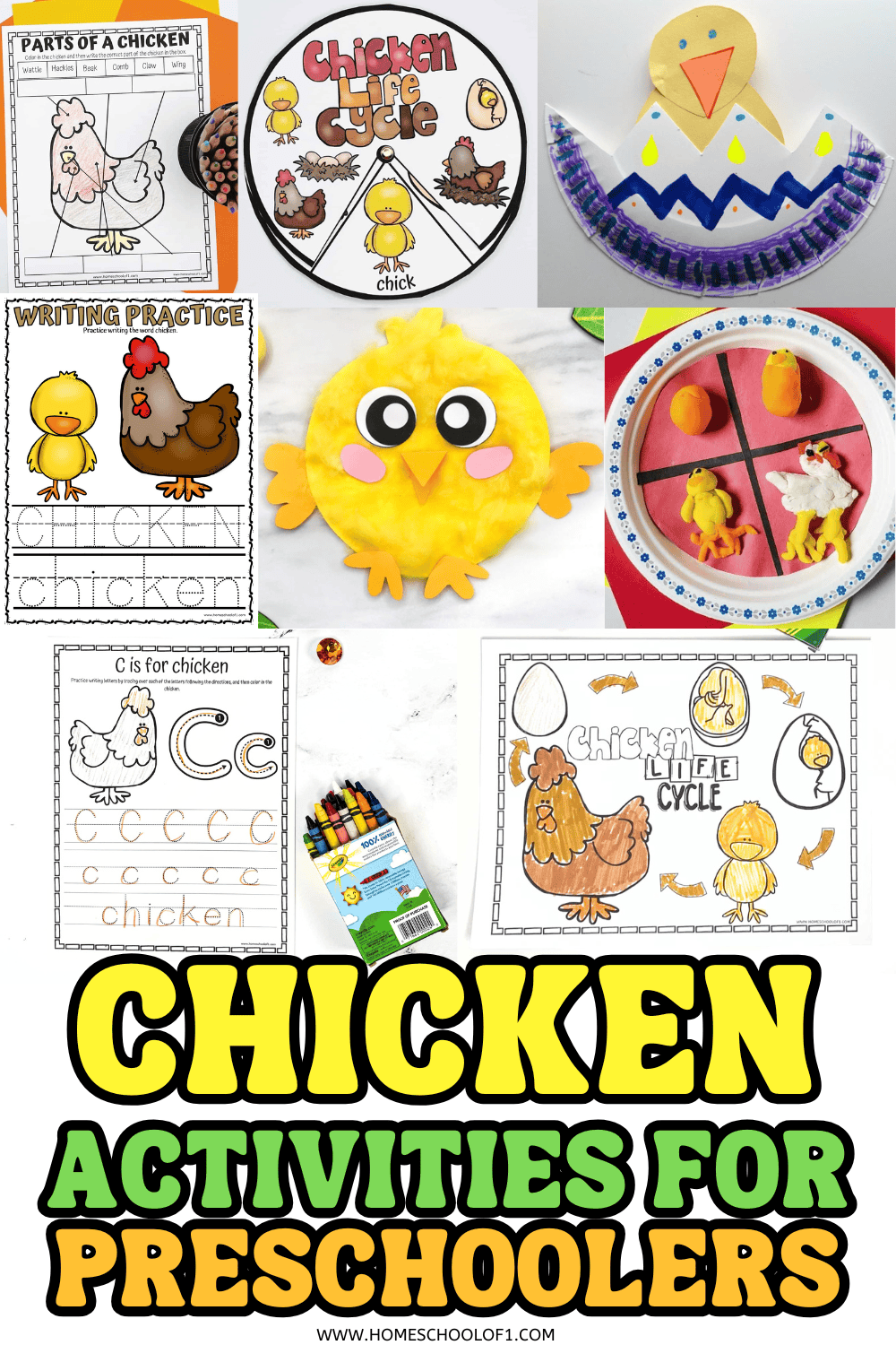 Preschool chicken-themed activity collage featuring tracing pages, life cycle diagrams, pom-pom chick craft, paper plate playdough project, and C is for Chicken handwriting page.