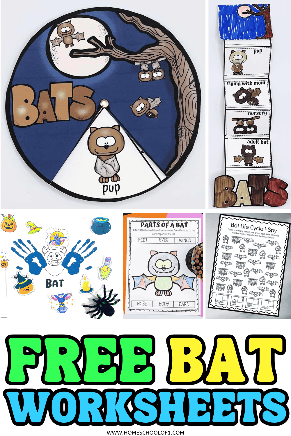Free bat-themed worksheets for preschool and elementary students, featuring craft templates, counting books, anatomy coloring pages, and life cycle puzzles.

