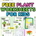 A collage of free printable plant worksheets for kids showing life cycles, parts of a plant, and plant cell diagrams