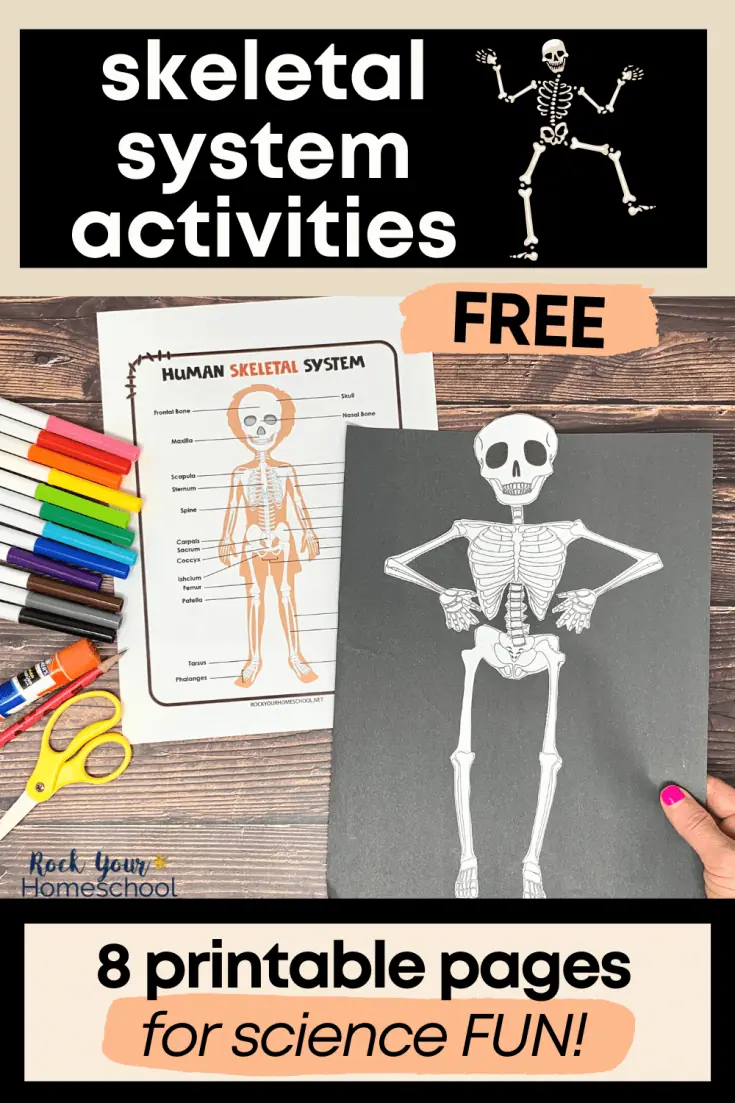 Free Printable Anatomy Worksheets