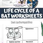 Educational bat worksheets bundle with life cycle, parts of a bat, and research pages.