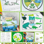 life cycle of a frog activities