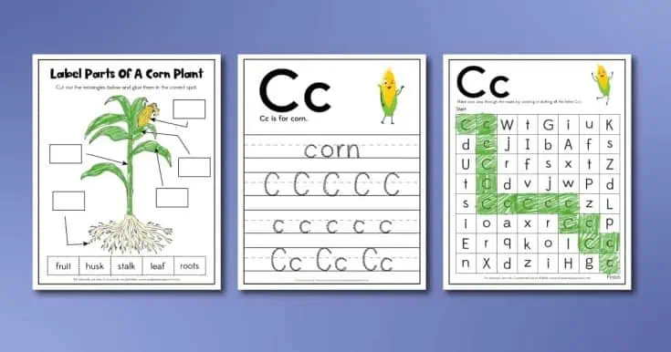 22 Free Plant Worksheets for Kids