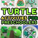 Collage of turtle-themed preschool activities including worksheets for tracing, counting, and writing, colorful paper turtle crafts, a sea turtle life cycle diagram, and playful turtle figurines made from egg cartons and pom-poms.