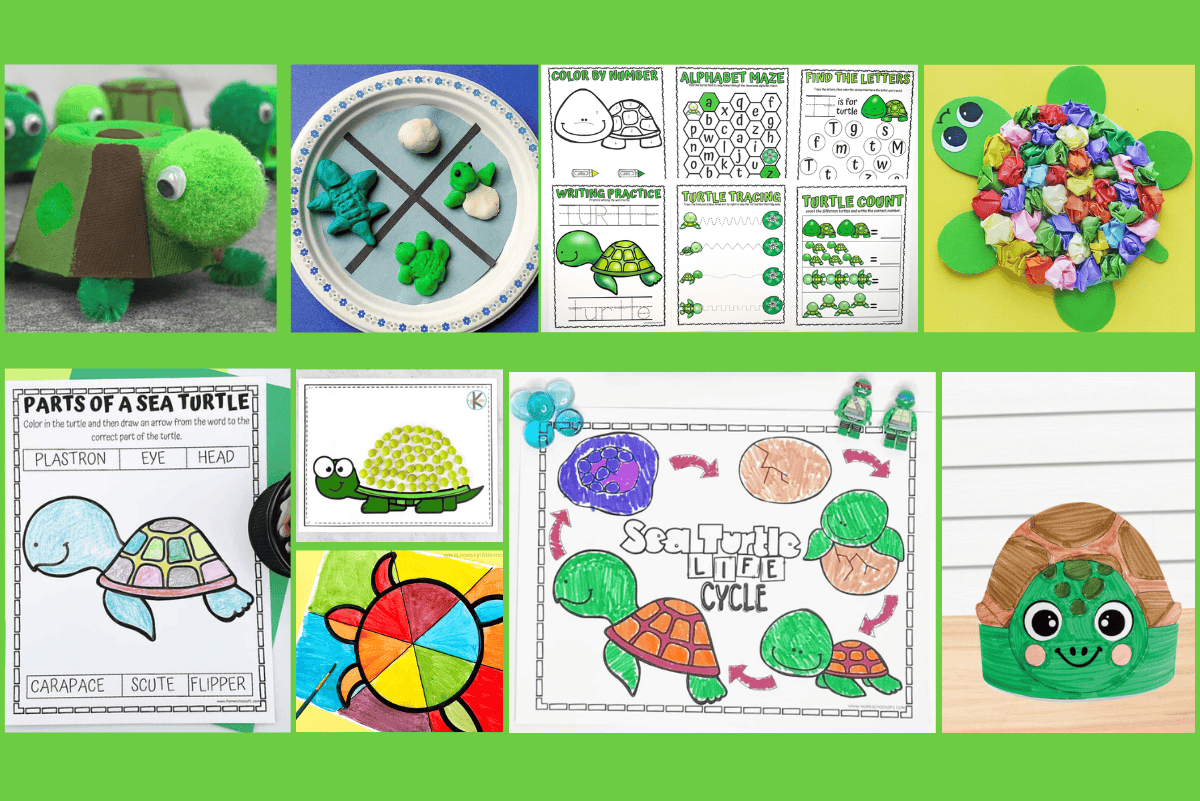 Collage of turtle-themed crafts and educational activities for preschoolers, including a tic-tac-toe game with clay turtles, a colorful turtle shell made from crumpled paper, and various learning worksheets on turtle anatomy and life cycle
