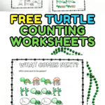 A set of five printable turtle-themed counting worksheets for kids, including activities like “What Comes Next?”, turtle pattern recognition, and coloring items to match quantities such as 2, 6, 8, 3, and 7. The image is decorated with green beaded necklaces and features vibrant sea creature illustrations like turtles, jellyfish, eggs, and seaweed. Bold, colorful text reads “FREE TURTLE COUNTING WORKSHEETS.”