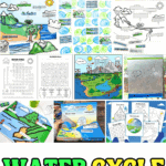 Collage of hands-on water cycle activities for kids including dioramas, worksheets, bag experiments, and coloring pages.