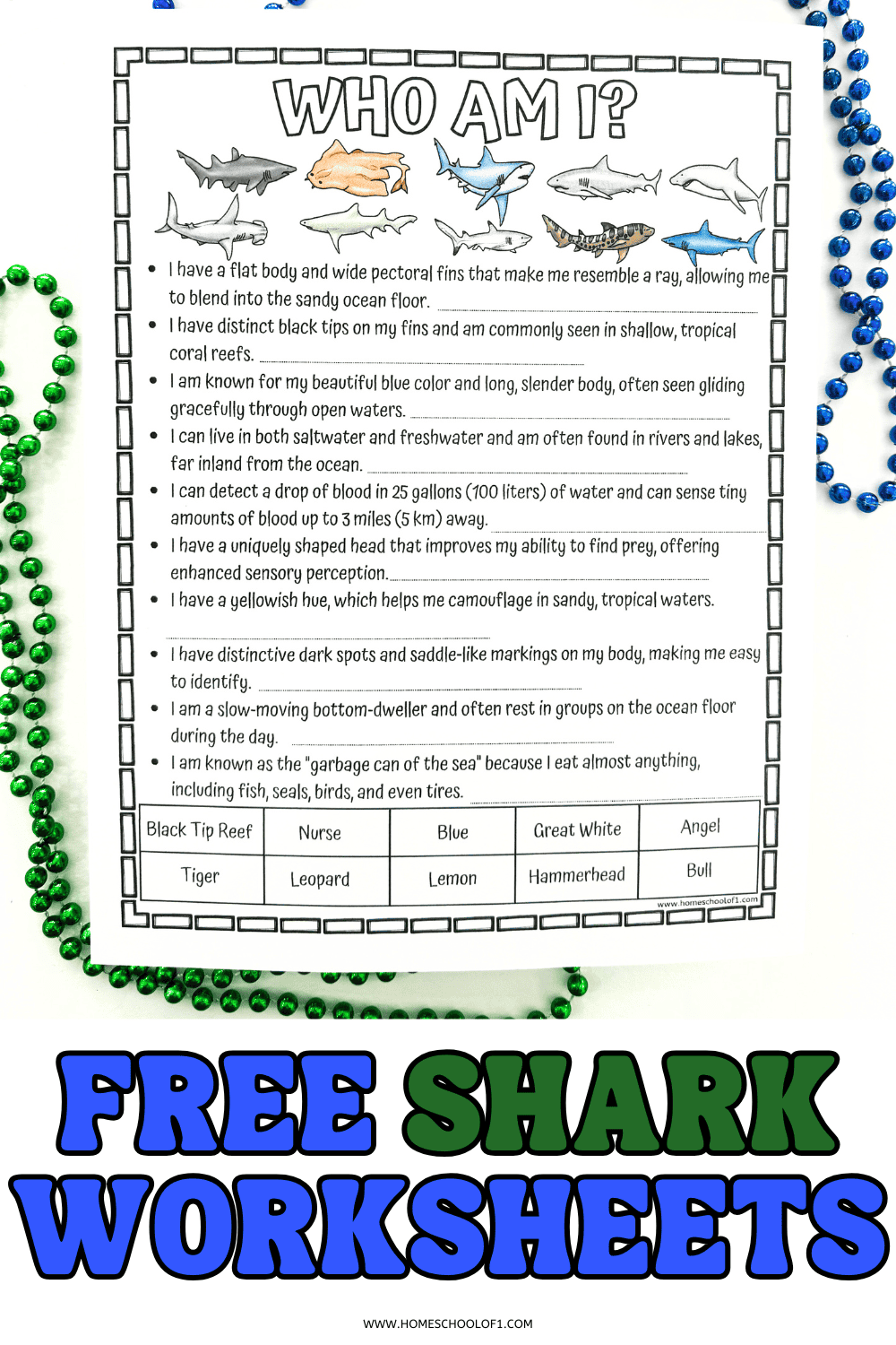 Free shark worksheets for kids featuring a 'Who Am I?' shark facts activity with illustrations of 10 shark species