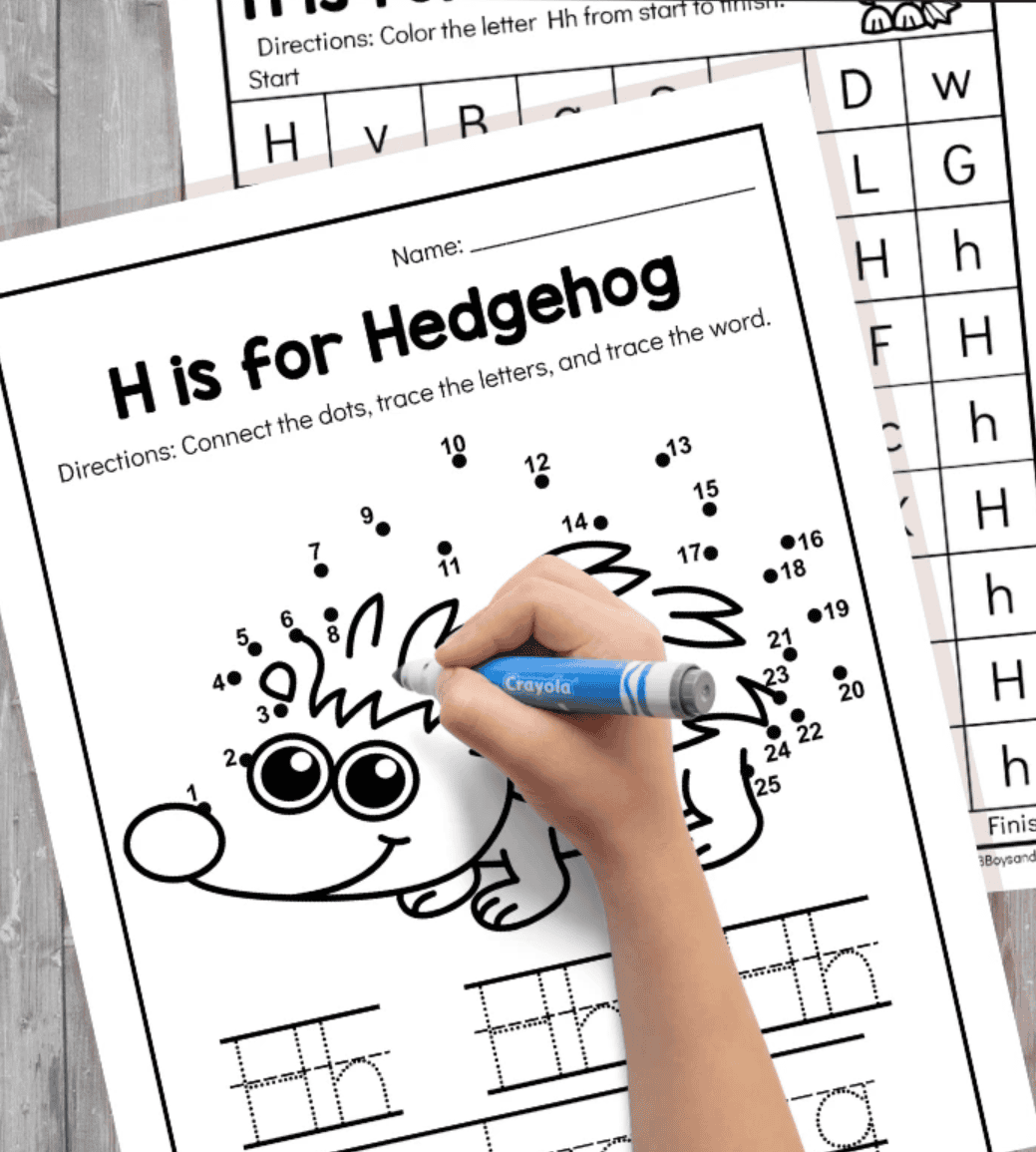 h is for hedgehog
