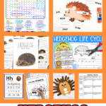 A bright and colorful collage of various educational hedgehog-themed printables for kids. It includes a word search with terms like "spines" and "hibernation," a cut-and-paste labeling activity of a hedgehog's body parts, a life cycle chart, a handwriting worksheet for the letter "H," and a hedgehog craft made with handprint shapes. The bold title at the bottom reads “HEDGEHOG PRINTABLES.”