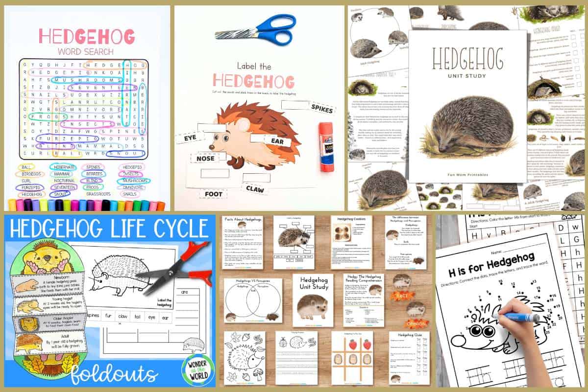 Hedgehog Printables and Activities for Kids