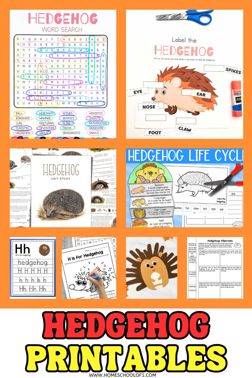 A bright and colorful collage of various educational hedgehog-themed printables for kids. It includes a word search with terms like "spines" and "hibernation," a cut-and-paste labeling activity of a hedgehog's body parts, a life cycle chart, a handwriting worksheet for the letter "H," and a hedgehog craft made with handprint shapes. The bold title at the bottom reads “HEDGEHOG PRINTABLES.”

