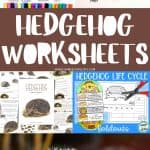 A collage of hedgehog-themed educational worksheets. The top row shows a hedgehog word search and a "Label the Hedgehog" activity with cut-and-paste labels for different body parts. The middle section features the text "Hedgehog Worksheets" and images of a hedgehog unit study guide and a "Hedgehog Life Cycle" foldout. The bottom image is a close-up of a hedgehog in grass.
