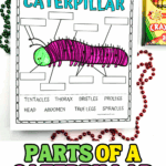 Printable parts of a caterpillar worksheet for kids showing a labeled diagram with blank spaces to fill in terms like tentacles, thorax, bristles, prolegs, head, abdomen, true legs, and spiracles. The caterpillar is colored bright green and purple, with crayons and beads placed around the page.
