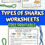 Types of sharks printable worksheets with labeled shark illustrations and fun fact matching game for kids