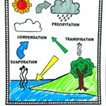 Free printable water cycle coloring page for kids showing evaporation, condensation, precipitation, and transpiration stages with labeled arrows and bright illustrations