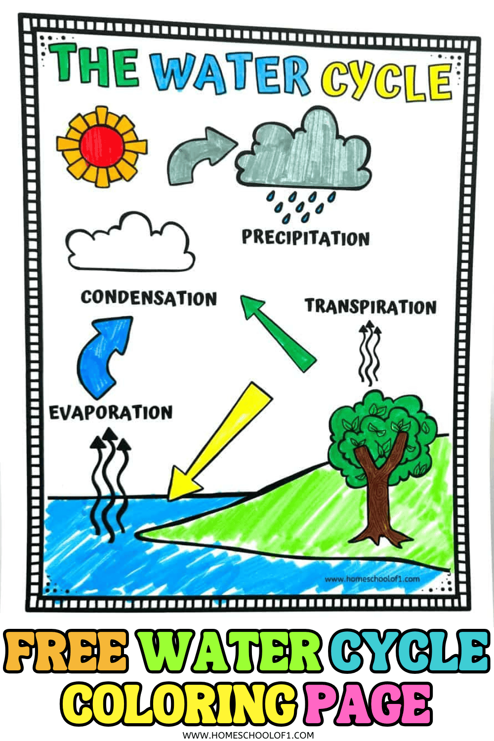 Free printable water cycle coloring page for kids showing evaporation, condensation, precipitation, and transpiration stages with labeled arrows and bright illustrations
