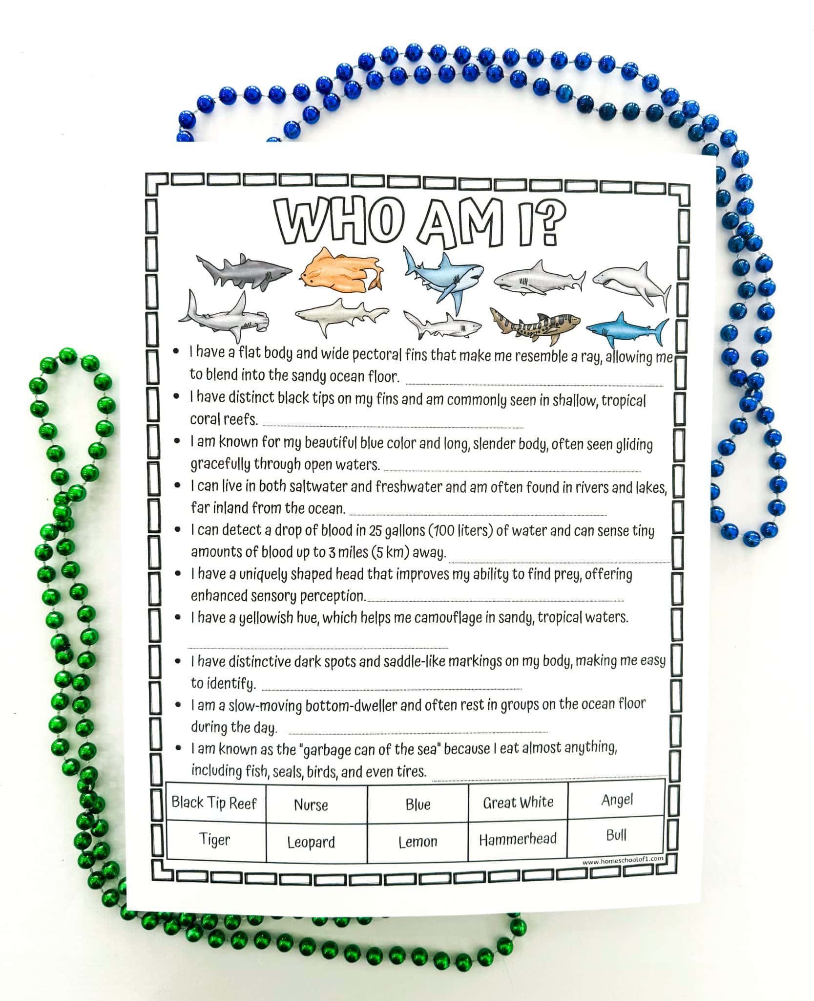 Free Shark Worksheets for Kids (10 Shark Species Printable)
