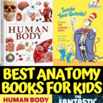 best anatomy books for children