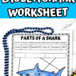 Printable shark worksheet where kids match anatomical terms to a labeled diagram—part of a multi-page shark anatomy set.