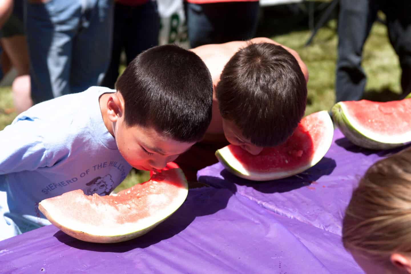 Two boys with their faces down in large watermelon slices on a purple tablecloth during a summer eating contest.