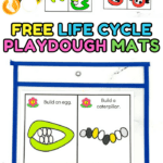 Colorful playdough activity mats showing different insect and frog life cycles. Each mat includes prompts like “Build an egg” or “Build a butterfly” with visual guides, surrounded by tubs of playdough.