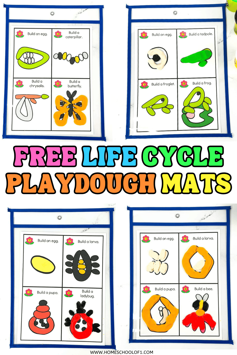 Four laminated playdough mats show step-by-step life cycles for a butterfly, frog, ladybug, and bee, with corresponding playdough models in bright colors like orange, green, red, and black.