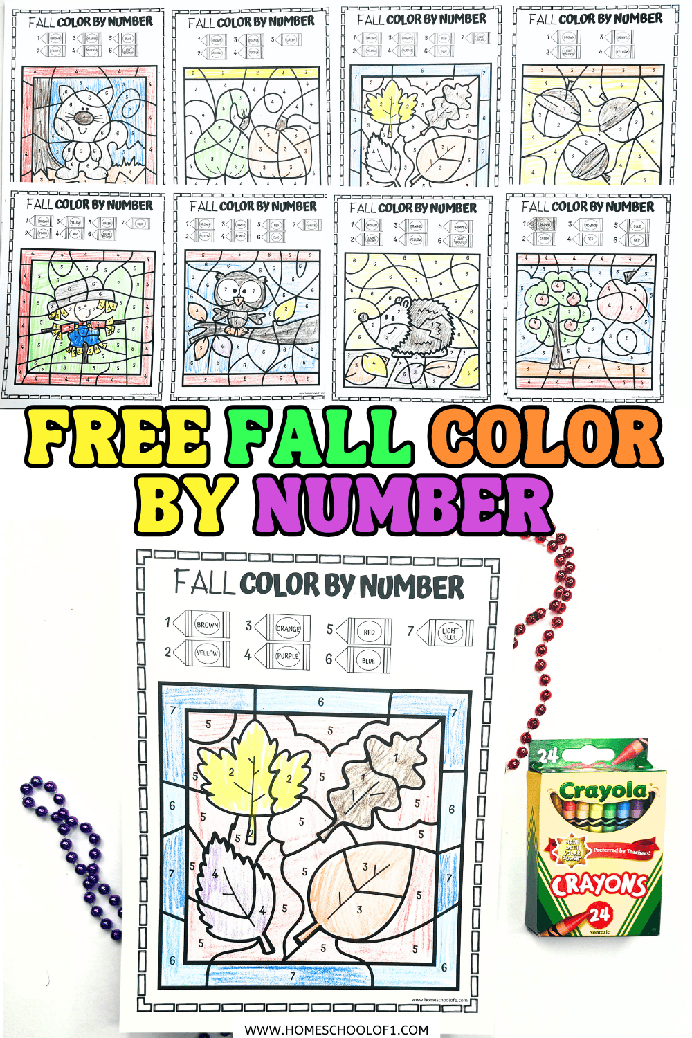 Completed fall color by number worksheets featuring squirrels, pumpkins, owls, and autumn leaves.