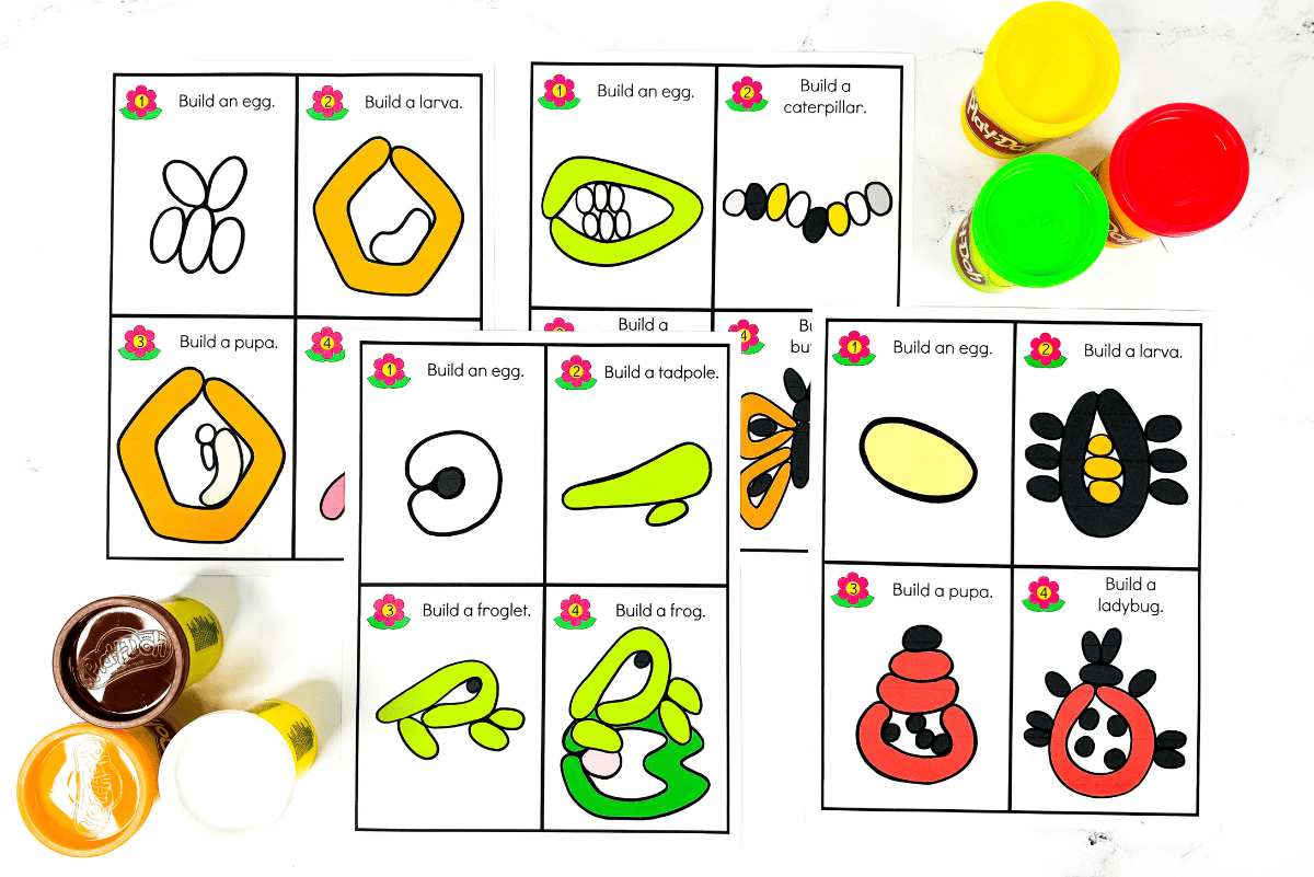 Colorful printable playdough mats featuring life cycle stages of butterflies, frogs, bees, and ladybugs. Each mat has labeled steps like “Build an egg” and “Build a caterpillar,” with simple diagrams and playdough examples, surrounded by tubs of red, green, yellow, brown, and white playdough.
