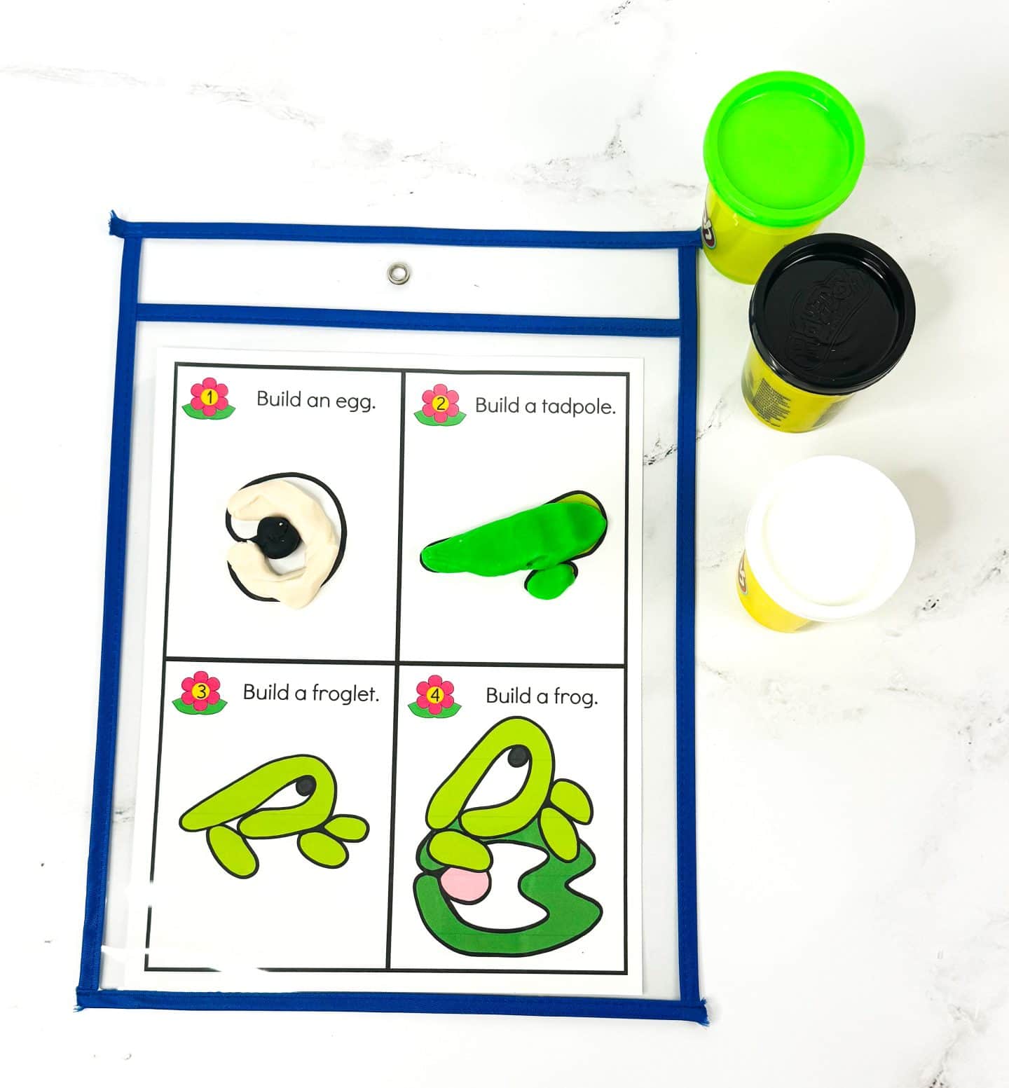 Laminated frog life cycle playdough mat in a blue sleeve showing four stages: egg, tadpole, froglet, and adult frog. The playdough models use white, black, green, and pink to represent each stage, with tubs of green, black, white, and yellow Play-Doh nearby on a white marble surface.