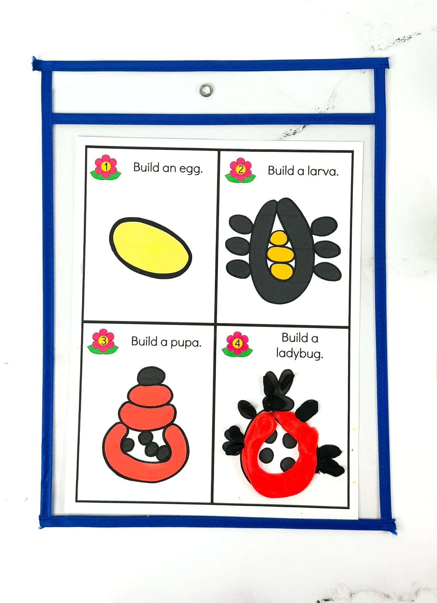Ladybug life cycle playdough mat in a blue sleeve with four labeled sections: egg, larva, pupa, and adult ladybug. Each stage features colorful playdough shapes in yellow, black, and red, with a completed red-and-black ladybug crafted from playdough in the final box.