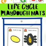 life cycle play doh mats